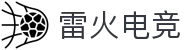 雷火电竞官网 - 专业的中文电竞平台